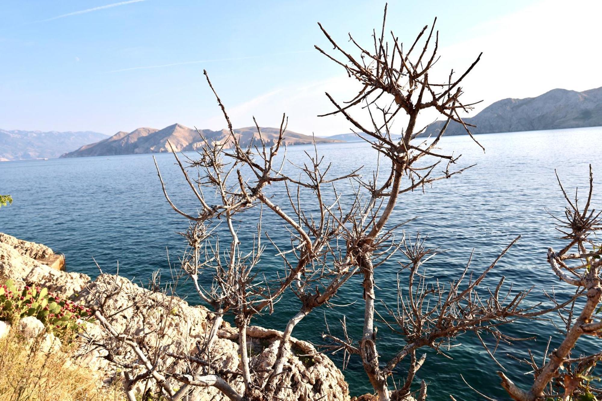 Villa Perla Baska Экстерьер фото